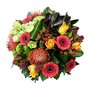 Bloemen nieuwerkerk a/d ijssel
